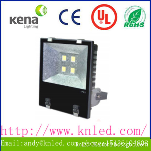 IP65 100w 120w Meanwell driver led flood light